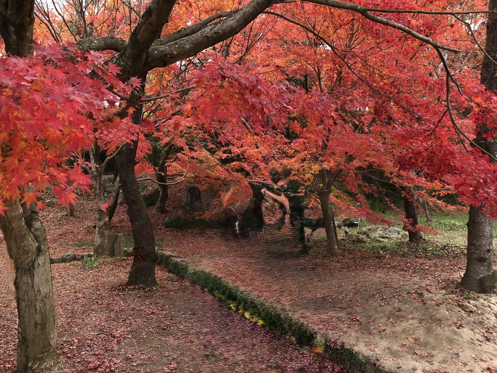 宝満宮竈門神社