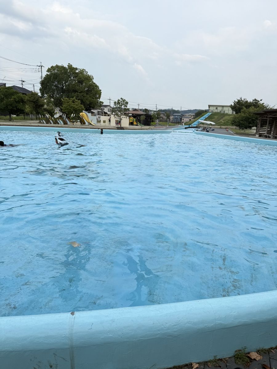 竹田公園（日田市）